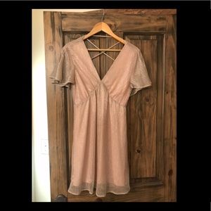 Francesca’s S Blush Dress